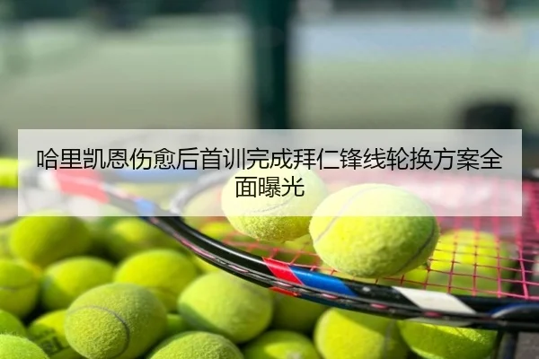 哈里凯恩伤愈后首训完成拜仁锋线轮换方案全面曝光