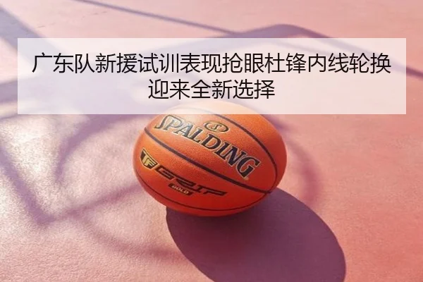 广东队新援试训表现抢眼杜锋内线轮换迎来全新选择